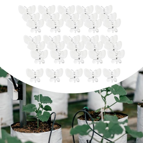 50x clip orchidee a - orchidee,