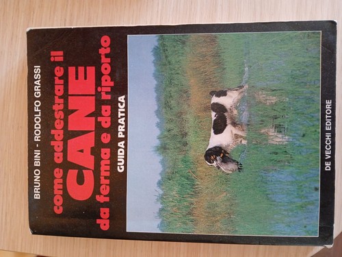 Come addestrare cane - come, da