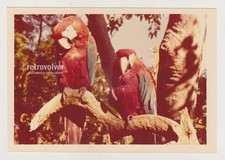 Foto vibrante di due