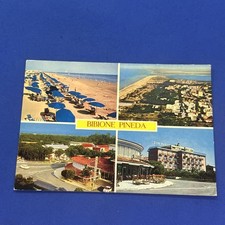 BIBIONE PINEDA CARTOLINA A COLORI