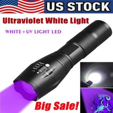 Torcia UV Luce Nera Super