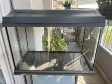 Acquario 60 Litri Tetra con mobiletto (usato)