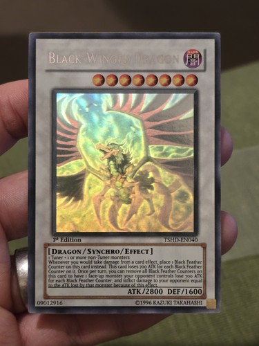 Tcg black winged - yu-gi-oh!,