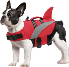 Giubbotto Di Salvataggio Del