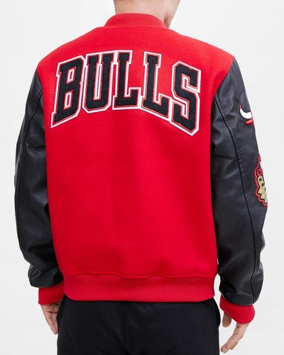 Giacca chicago bulls pro - bulls,