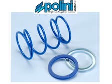 Polini 243.101 Molla di