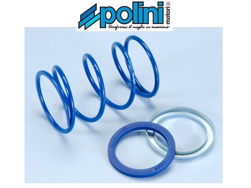 Polini 243 101 molla - 243.101,