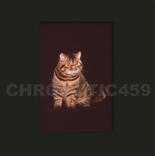 Vint 1991 35mm clr - 1991, slide
