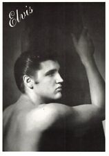 499745) Scheda Musicista -