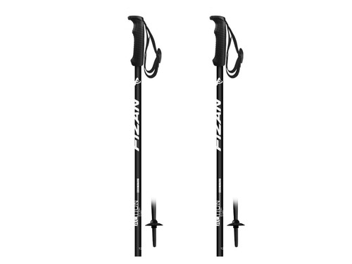 Fizan bastoncini sci w20 - bastoncini,