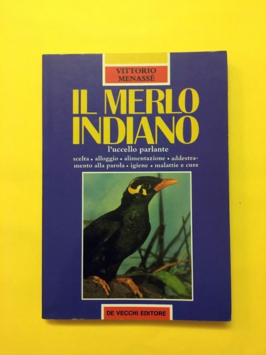 Merlo indiano l uccello - indiano., l'uccello