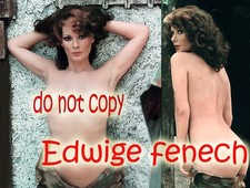 PHOTO - Edwige FENECH #431-11#