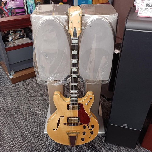 Chitarra elettrica