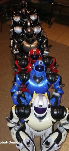 Wowwee robosapien servizi - wowwee,
