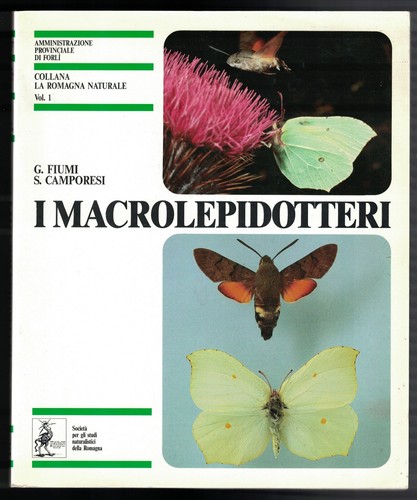 Macrolepidotteri gabriele - macrolepidotteri,