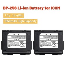 Batteria agli ioni di litio 2