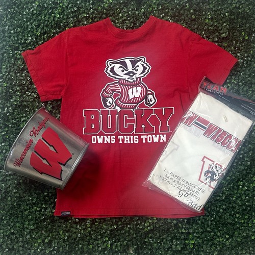 Wisconsin badgers set - badgers,