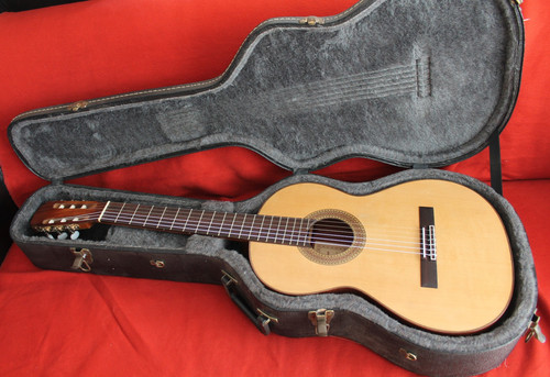 Chitarra concerto erwin von - concerto,