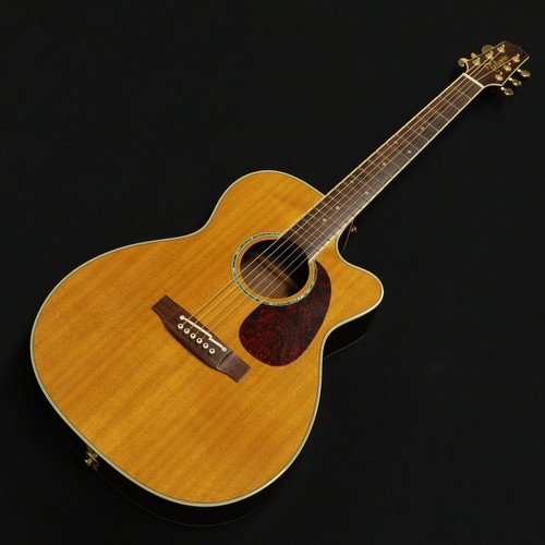 Takamine dmp713 chitarra - ct,
