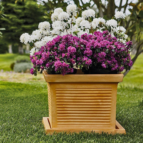 Vaso quadro millerighe - quadro,