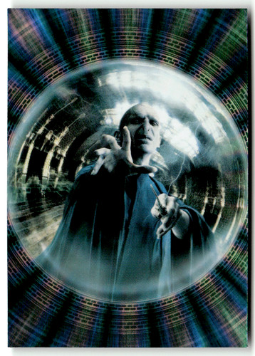 Panini harry potter - panini,