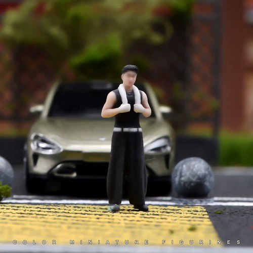 Painted figure model - 1:64,