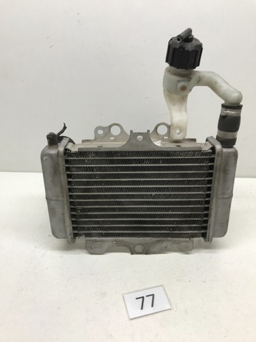 Radiatore raffredamento motore - radiatore,