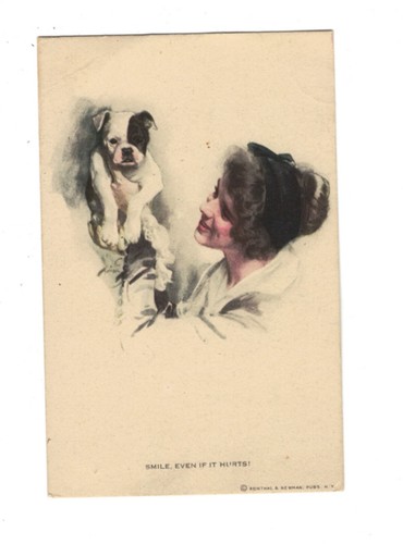 Sd1739 animali piccolo bulldog - sd1739,