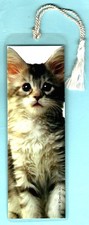 Segnalibro Tabby Gatto Gattino