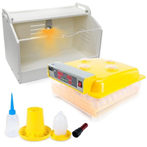 Kit incubatrice lampada - kit,