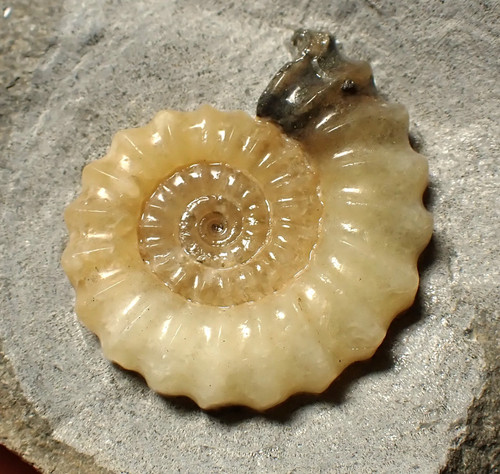 Perfect large calcite