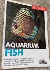 Aquarium Fish Freshwater