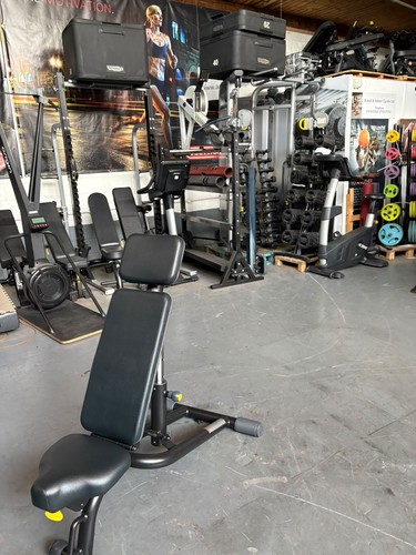 Panca regolabile technogym - regolabile,