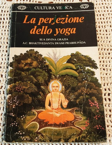 Perfezione dello yoga - perfezione,