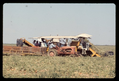 Sl26 slide 1980 - omaha, raccolta