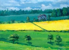 Casa nei campi paesaggio