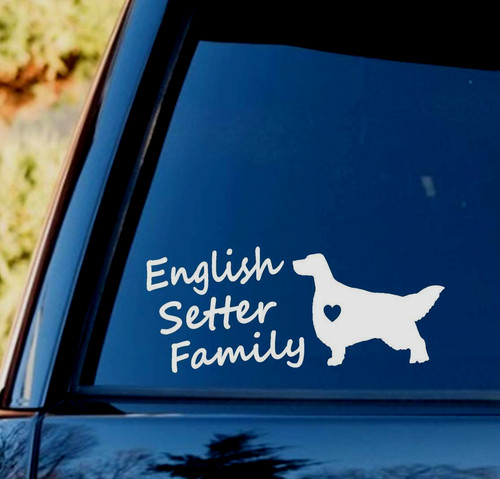 English setter family dog - setter,
