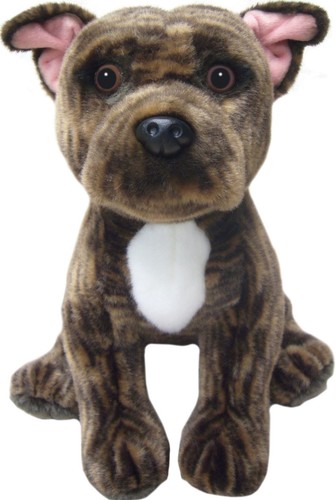 Orsacchiotto brindle - orsacchiotto,