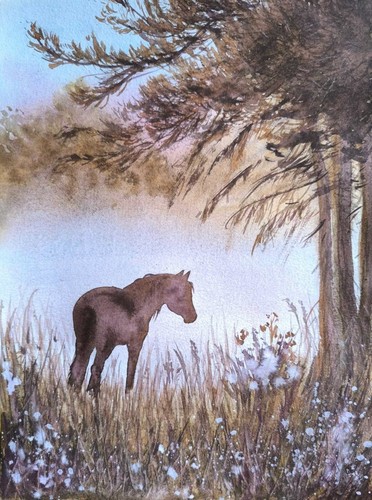Wild horse morning foggy - morning,