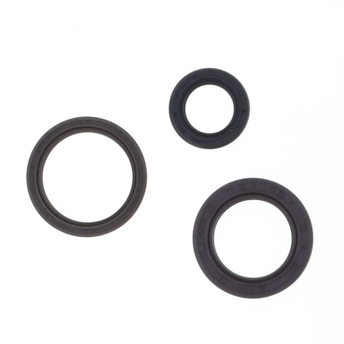 Set guarnizioni motore