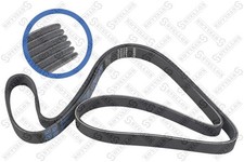 Cinghia a V STELLOX BMW -