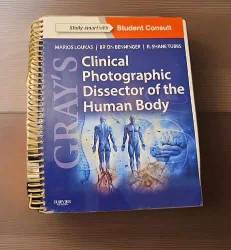 Gray anatomy s - anatomy:, gray's