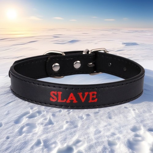 Collare bdsm regolabile - collare,