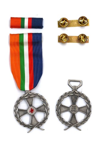 Medaglia nastrino - medaglia,