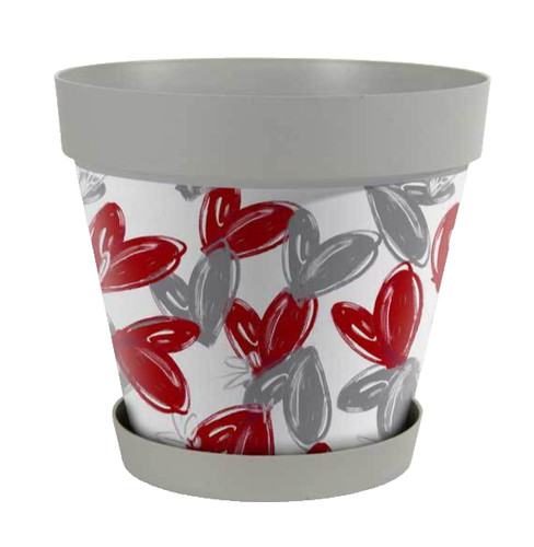 Vaso piante grasse fiori semi - vaso,