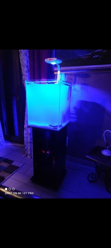 Acquario marino - 60,