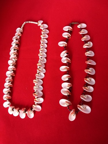 Collane conchiglie naturali - 40,