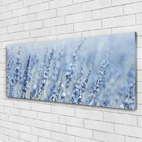 Quadri vetro quadro - in, da