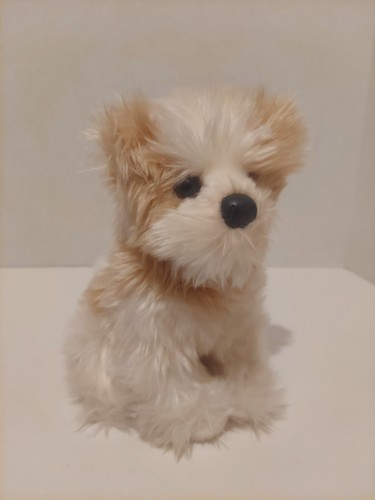 Peluche cane maltese douglas - peluche,