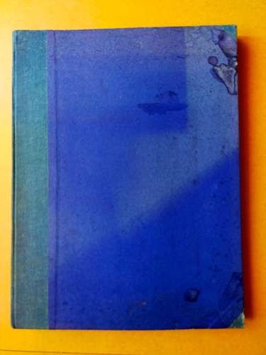 Ada boni talismano di - il,